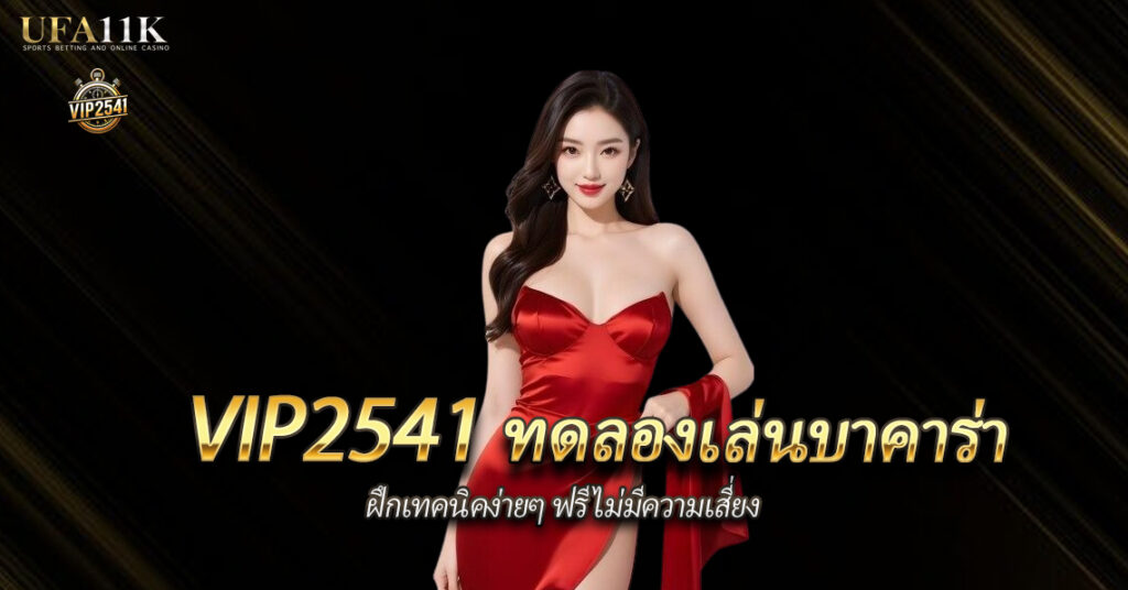 vip2541-ทดลองเล่น